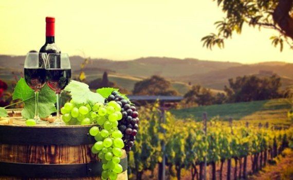 ANSA exportatori de vinuri - agroexpert.md