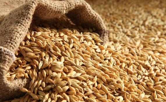 export cereale Constanța - agroexpert.md