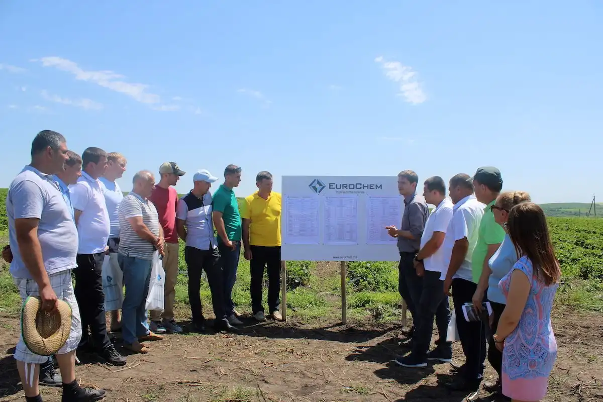 Улучшить показатели земляники садовой с Agrocenter EuroChem легко и просто