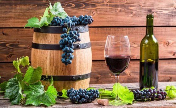 Совмещение винограда с технической коноплей дало неожиданный вкус вина - agroexpert.md