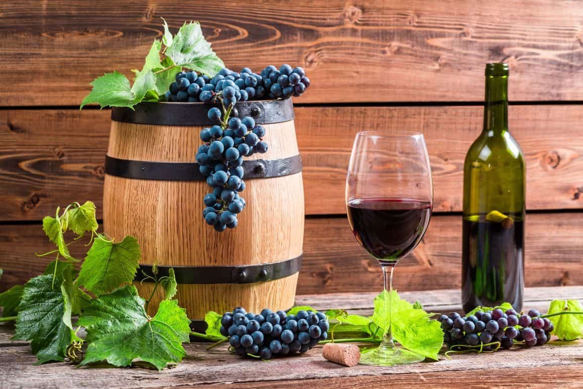 Совмещение винограда с технической коноплей дало неожиданный вкус вина - agroexpert.md
