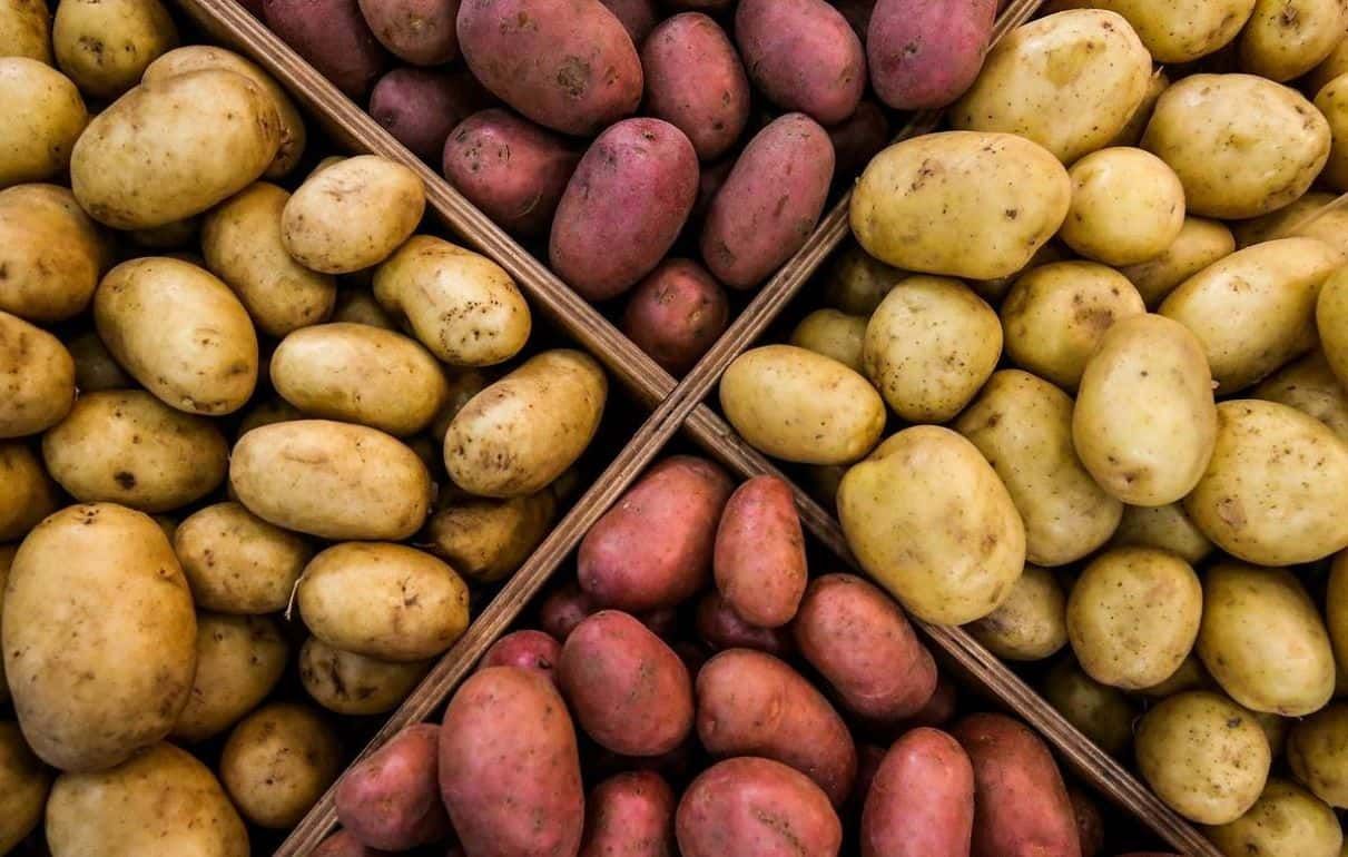 Почему в Молдове дорожает картофель? - agroexpert.md