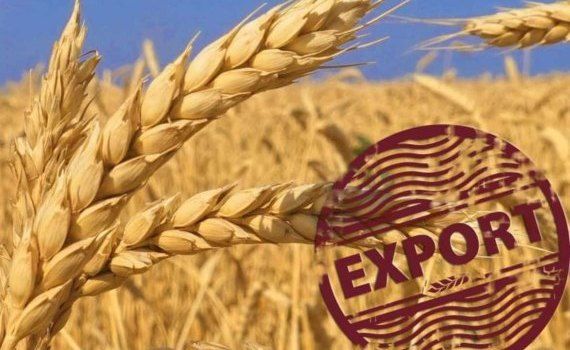 Экспорт российского зерна поставил очередной рекорд - agroexpert.md