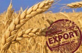 Экспорт российского зерна поставил очередной рекорд - agroexpert.md