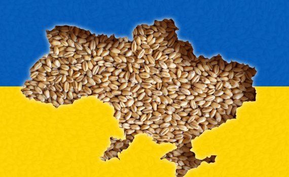 piața cerealelor Ucraina - agroexpert.md