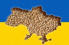 piața cerealelor Ucraina - agroexpert.md