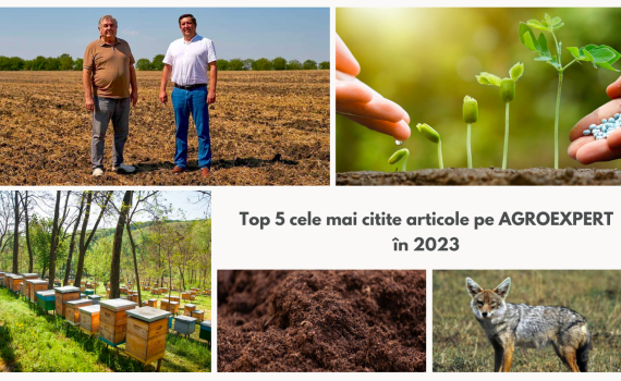 cele mai citite articole pe AGROEXPERT - agroexpert.md