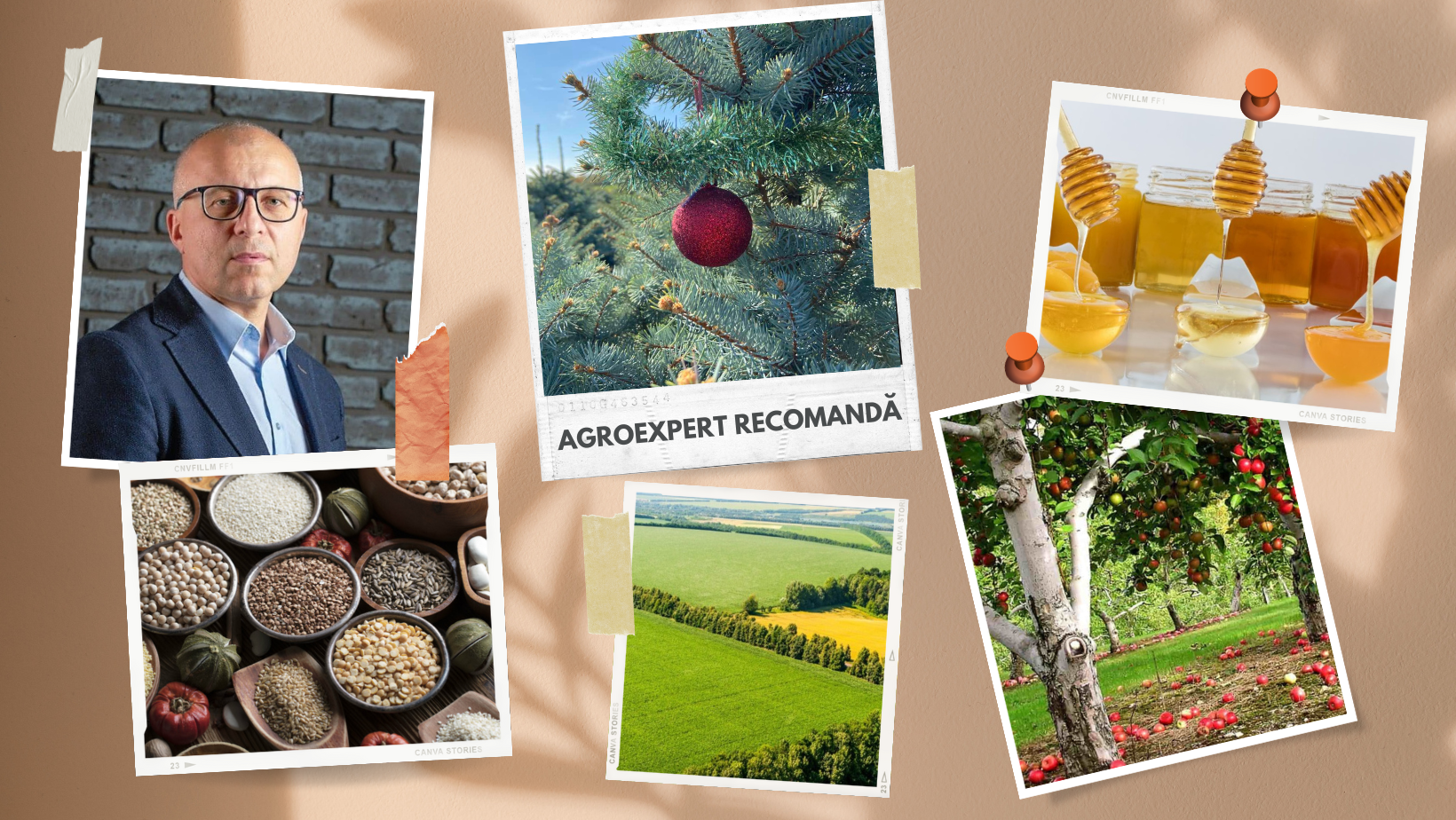 materiale AGROEXPERT - agroexpert.md