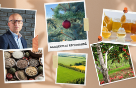 materiale AGROEXPERT - agroexpert.md