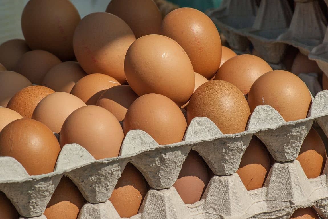 В РФ принято решение о введении с 01.01.24 беспошлинного импорта яиц - agroexpert.md