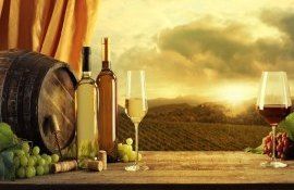 preț sticle de vin moldovenesc - agroexpert.md