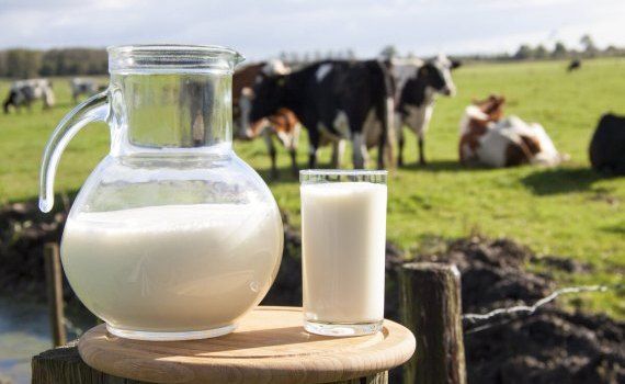 deficit lapte ferme - agroexpert.md