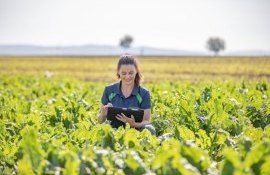 granturi femei afaceri agricole - agroexpert.md