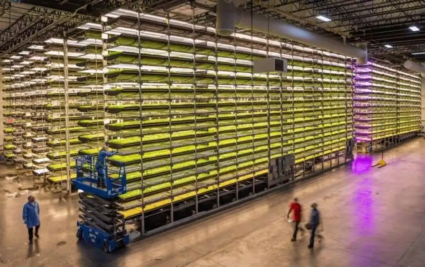 IKEA инвестирует в развитие крупнейшей в мире вертикальной фермы AeroFarms