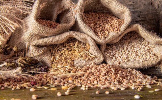prețurile estimative la cereale - agroexpert.md
