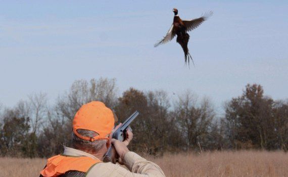 vânătoarea de păsări interzisă - agroexpert.md