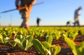 Trubca comisia destinată fermierilor - agroexpert.md
