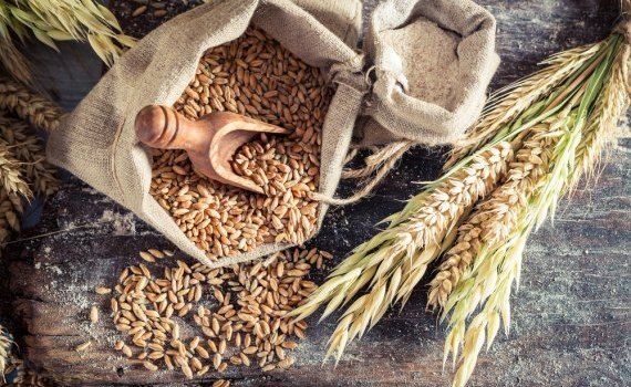  Prețul cerealelor în portul Constanța - agroexpert.md