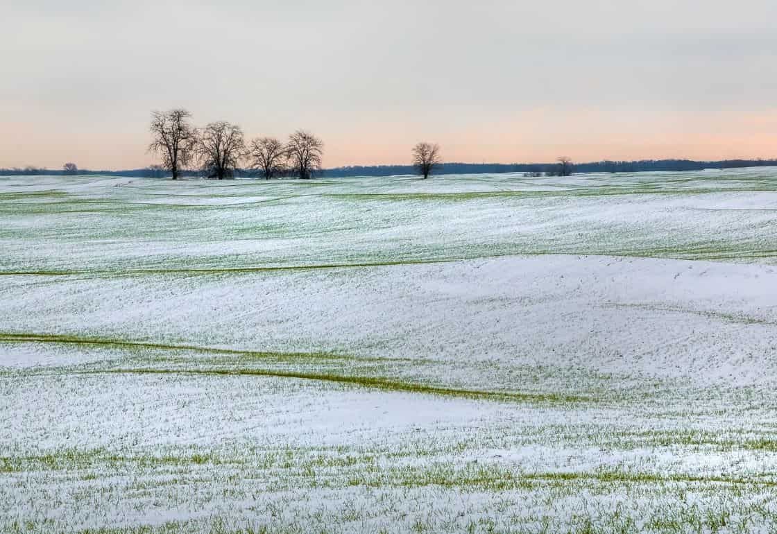 Вторая волна похолодания и снега не вредит сельхозугодьям - agroexpert.md