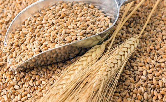 taxe import cereale Ucraina - agroexpert.md