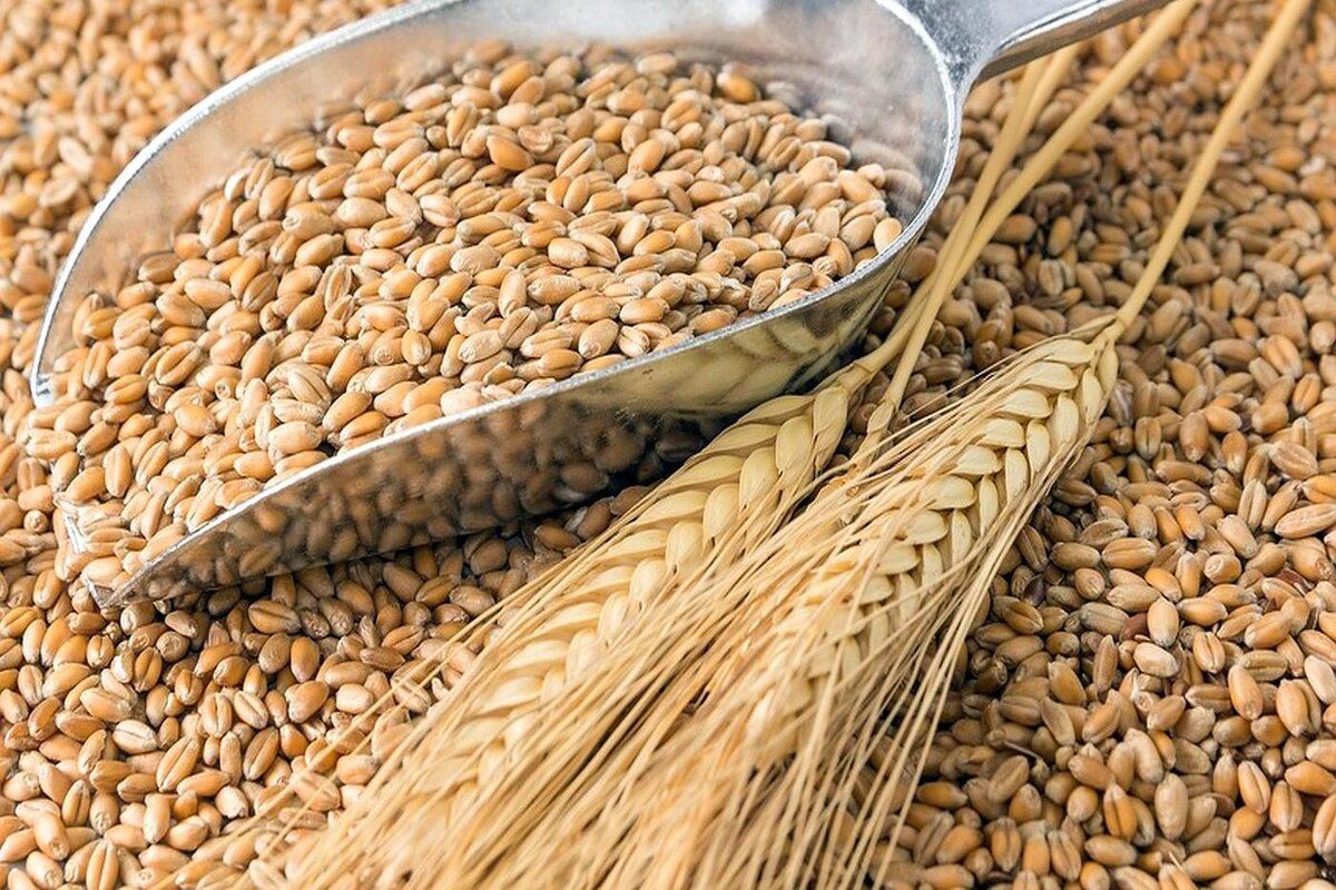 taxe import cereale Ucraina - agroexpert.md