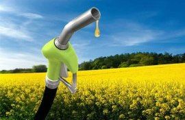 Под производство биотоплива в мире отдано около 6 % посевных площадей - agroexpert.md