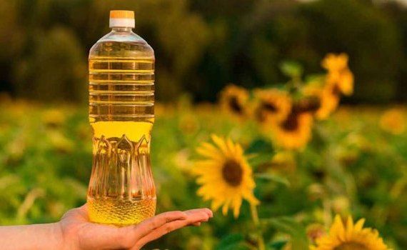 cantitate record de ulei de floarea soarelui în 2023 - agroexpert.md