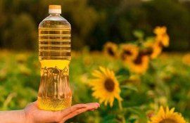 RM a exportat o cantitate record de ulei de floarea soarelui în 2023