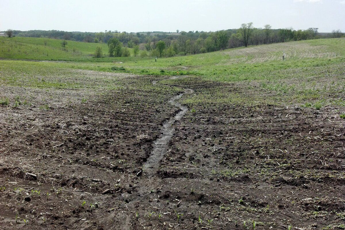 eroziunea solului prevenire - agroexpert.md