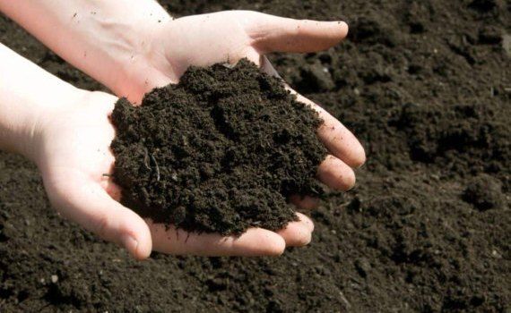 Проблема деградация почв: В России может появиться «искусственный чернозем» - agroexpert.md