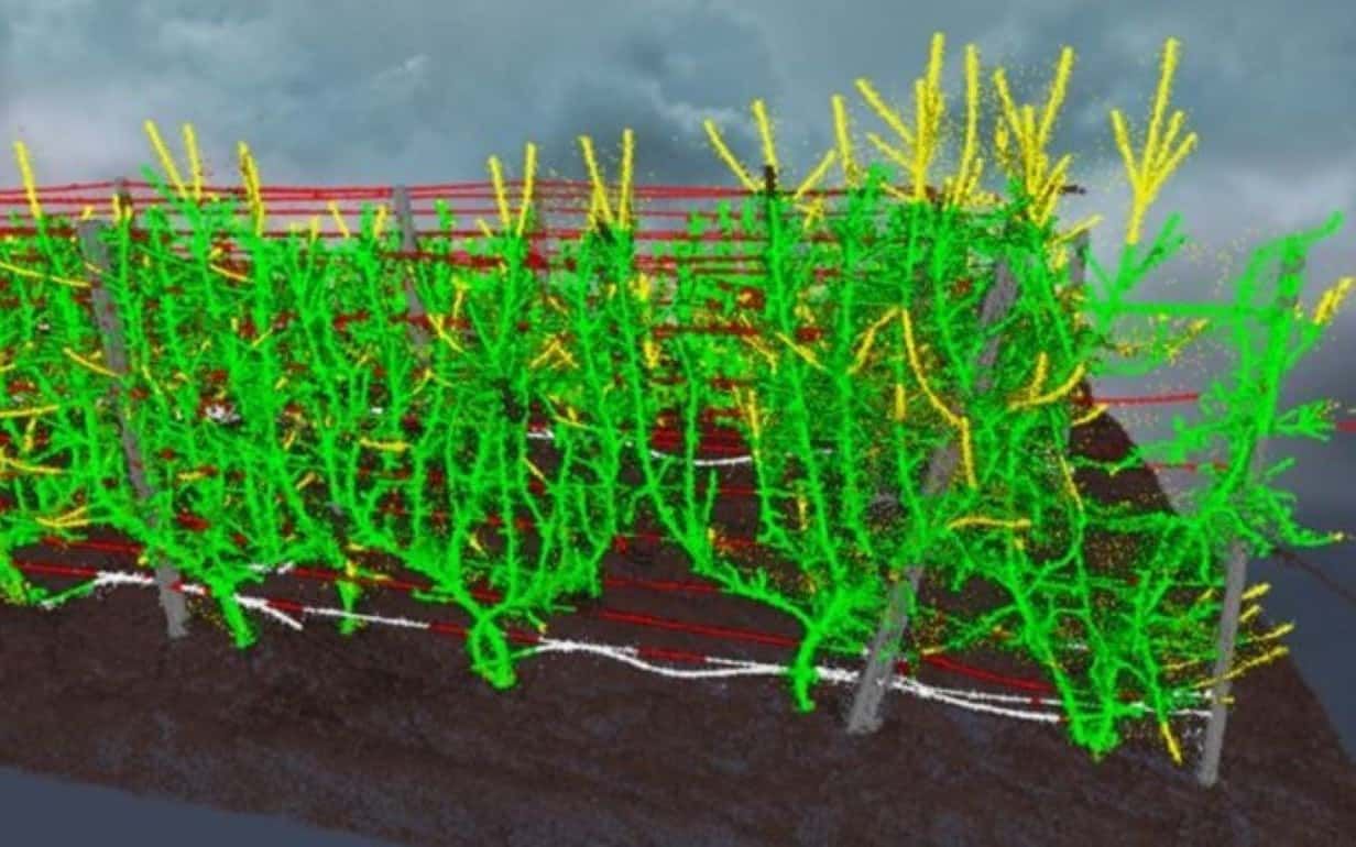 Цифровые двойники садов для точной оценки влияния обрезки на урожай - agroexpert.md
