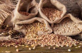 Evoluția prețurilor la cereale la nivel internațional și în R. Moldova