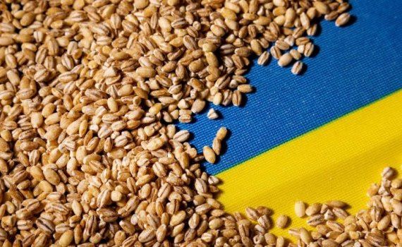 export Ucraina - agroexpert.md