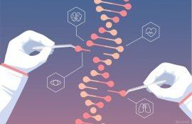 Внедрение геномных методов (NGT) в ЕС: Профильный комитет проголосовал - agroexpert.md