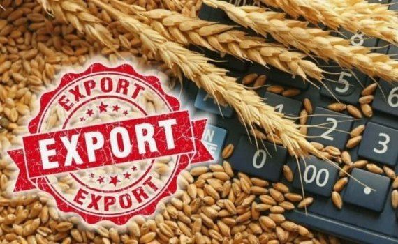 Польша и Украина проведут переговоры по экспортным лицензиям - agroexpert.md