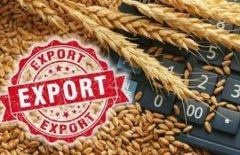Польша и Украина проведут переговоры по экспортным лицензиям - agroexpert.md