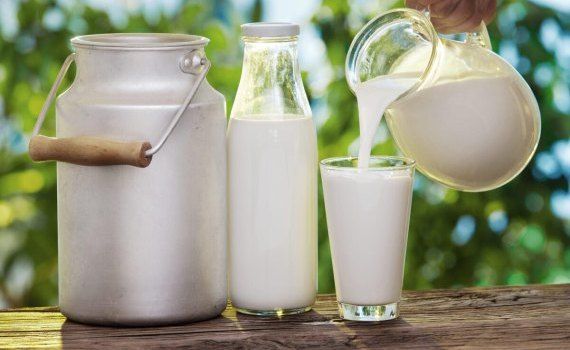 producția de lapte - agroexpert.md