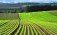 preț teren agricol UE - agroexpert.md