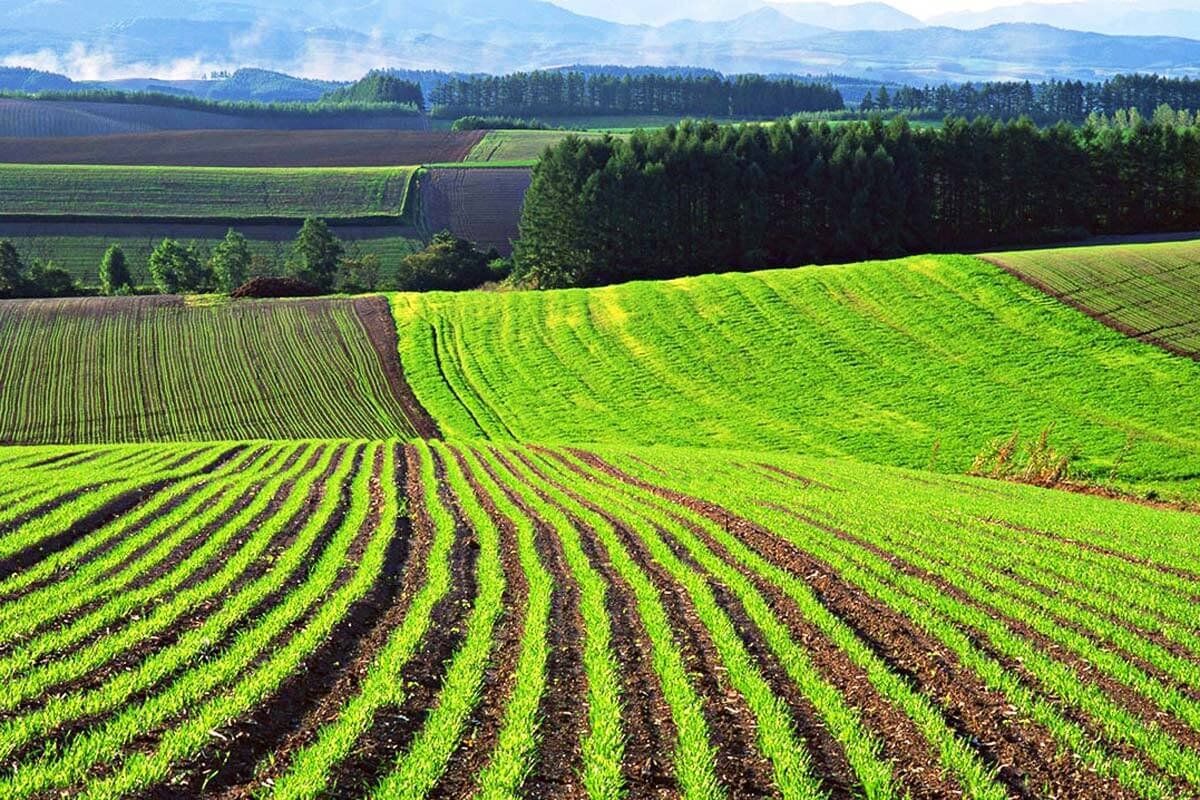 preț teren agricol UE - agroexpert.md