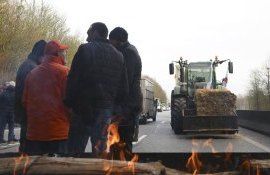 Французские фермеры хотят с воскресенья организовать полную блокаду Парижа - agroexpert.md