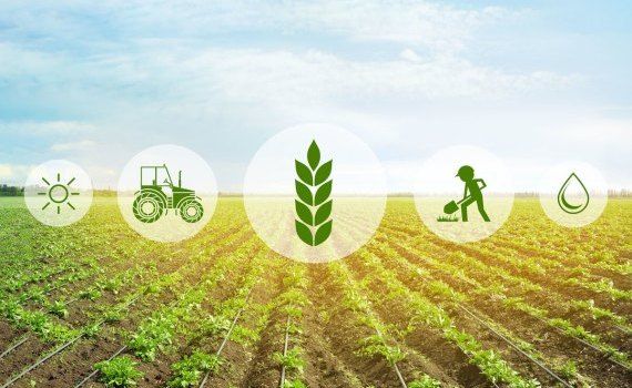 târgul inovațiilor agricole - agroexpert.md