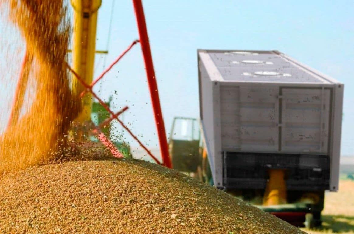 Ценовые индикативы в Украине на зерно за 22-28 января - agroexpert.md