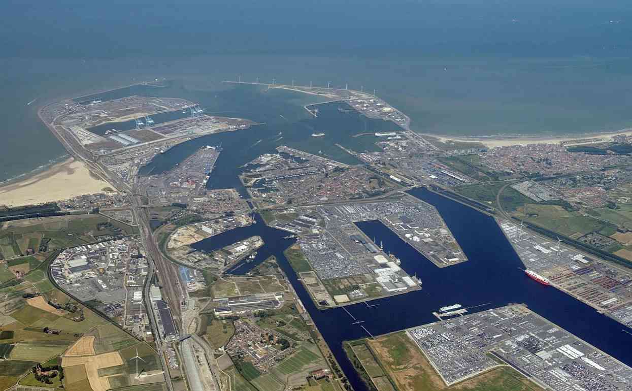 Бельгийские фермеры в знак протеста хотят заблокировать морской порт - agroexpert.md  