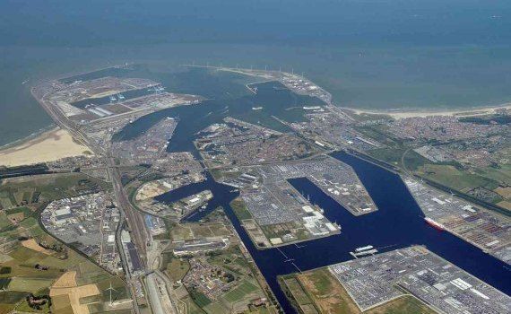 Бельгийские фермеры в знак протеста хотят заблокировать морской порт - agroexpert.md  