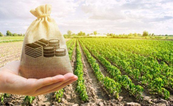 AIPA fermieri subvenții - agroexpert.md