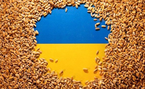 export Ucraina - agroexpert.md