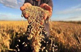 Рейтинг крупнейших импортеров украинской агропродукции за 2023 год - agroexpert.md