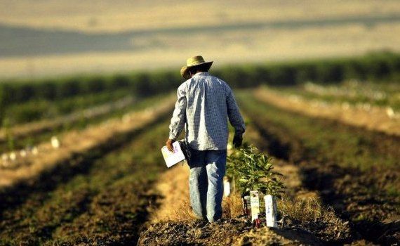 subvenții complementare AIPA - agroexpert.md