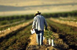 subvenții complementare AIPA - agroexpert.md