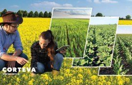 Seminarele Corteva Learning Day aduc în prim-plan noutățile pentru 2024 - agroexpert.md